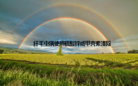 – 纤毛虫病使用硫酸锌或甲壳素清除