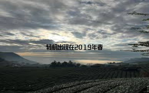 转机出现在2019年春