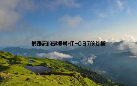 最难忘的是编号HT-037的幼鲎