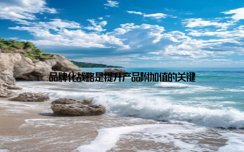 品牌化战略是提升产品附加值的关键