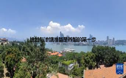 选址与池塘准备是养蟹的第一步