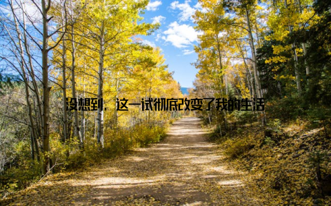没想到, 这一试彻底改变了我的生活