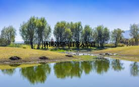 环境效益同样令人欣喜