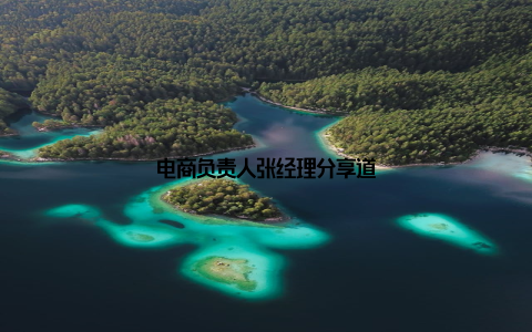 电商负责人张经理分享道