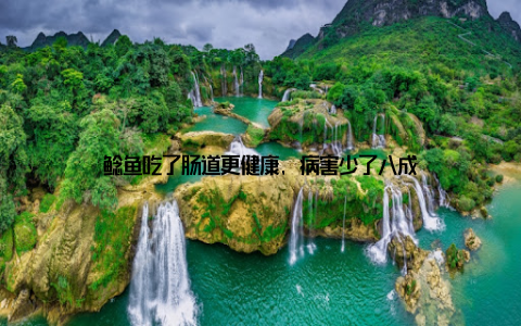 鲶鱼吃了肠道更健康, 病害少了八成