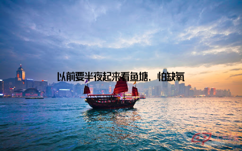 以前要半夜起来看鱼塘, 怕缺氧