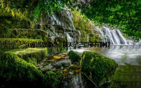水退后清点, 损失了三百多斤种虾