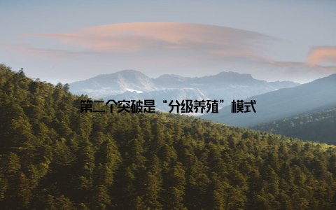 第二个突破是“分级养殖”模式