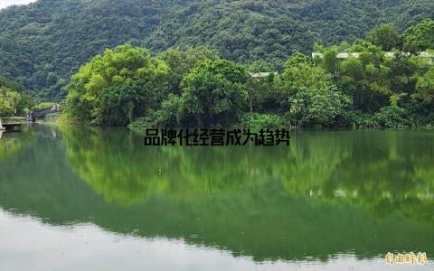 品牌化经营成为趋势
