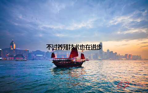 不过养殖技术也在进步
