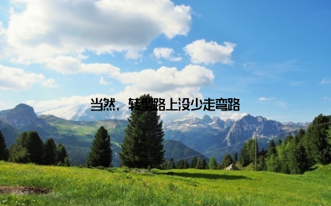 当然, 转型路上没少走弯路