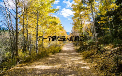 另一个痛点是人机磨合