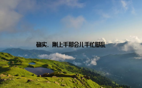 确实, 刚上手那会儿手忙脚乱