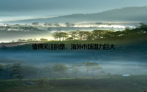 值得关注的是, 海外市场潜力巨大