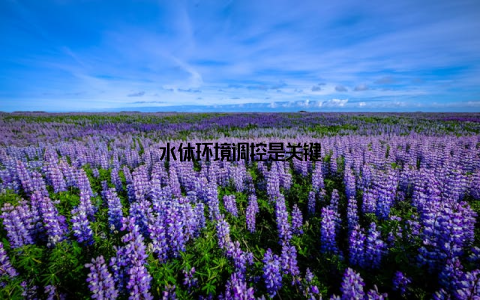 水体环境调控是关键