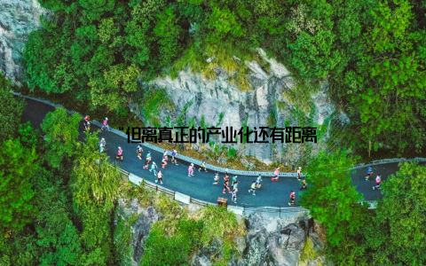“但离真正的产业化还有距离