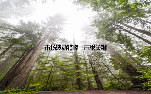 市场波动错峰上市很关键