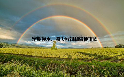 – 定期换水, 减少残饵和粪便堆积