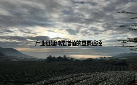 产业链延伸是增值的重要途径