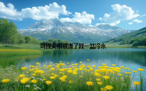 可现实狠狠泼了我一盆冷水