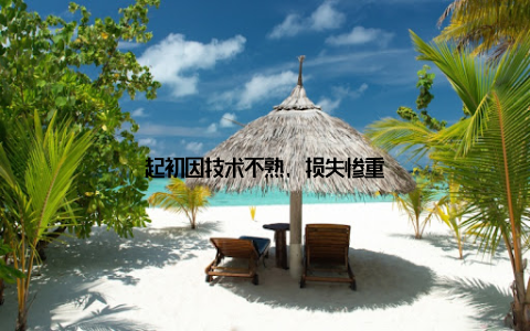 起初因技术不熟, 损失惨重