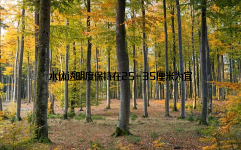 水体透明度保持在25-35厘米为宜