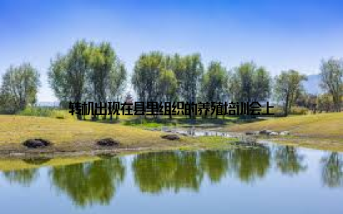 转机出现在县里组织的养殖培训会上