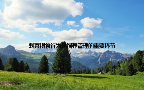 观察摄食行为是饲养管理的重要环节