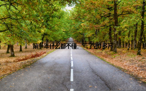 第一年什么都不懂, 亏了20多万