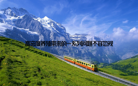 高密度养殖带来的一系列问题不容忽视