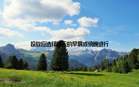 投放应选择晴天的早晨或傍晚进行
