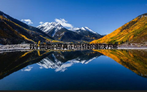 我们需要的是真正可持续的解决方案