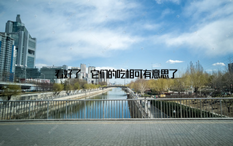 看好了, 它们的吃相可有意思了