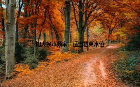 加大换水频率, 适当提高水位