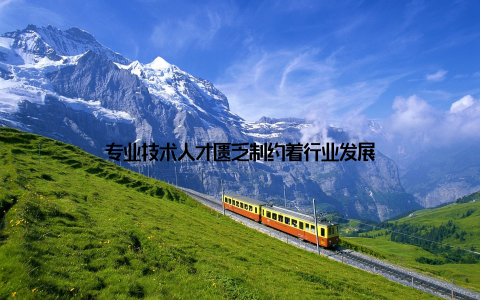 专业技术人才匮乏制约着行业发展