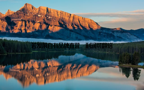 若发展自有品牌直营, 利润可翻倍