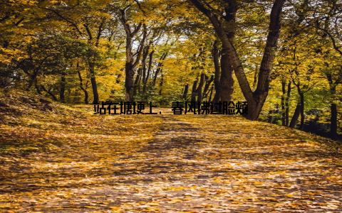 站在塘埂上, 春风拂过脸颊