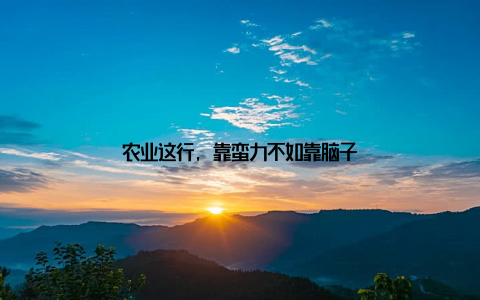 农业这行, 靠蛮力不如靠脑子
