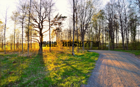 慢慢地, 我摸索出了门道