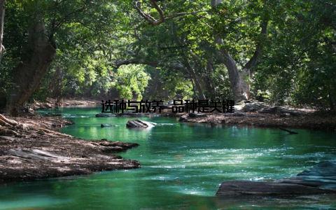 选种与放养 品种是关键