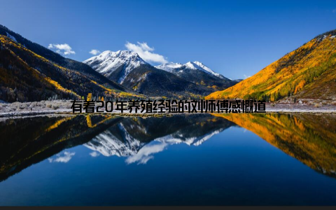 有着20年养殖经验的刘师傅感慨道