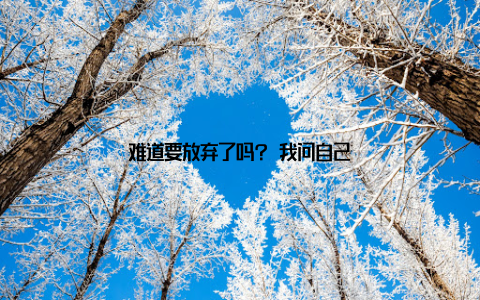 难道要放弃了吗? 我问自己