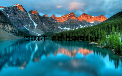 疫情影响下, 家庭消费场景需求激增