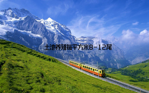 – 土池养殖每平方米8-12尾