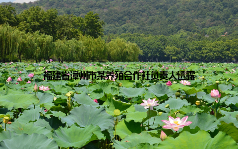 福建省漳州市某养殖合作社负责人透露