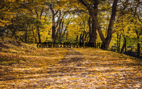 投喂量和次数的控制很有讲究