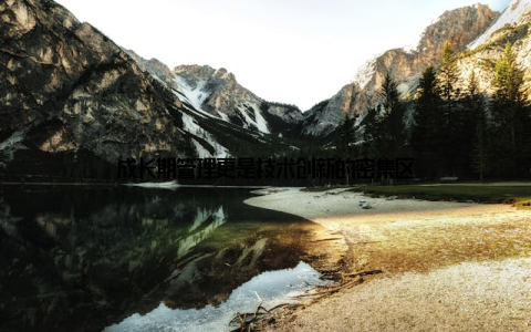 成长期管理更是技术创新的密集区