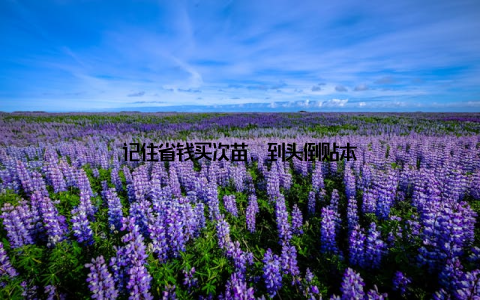 记住省钱买次苗, 到头倒贴本