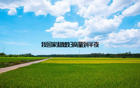 我回家和媳妇商量到半夜