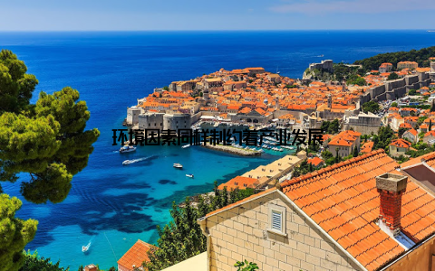 环境因素同样制约着产业发展